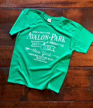 Load image into Gallery viewer, Limited Edition Vintage Avalon T-shirt, Youth (Green)